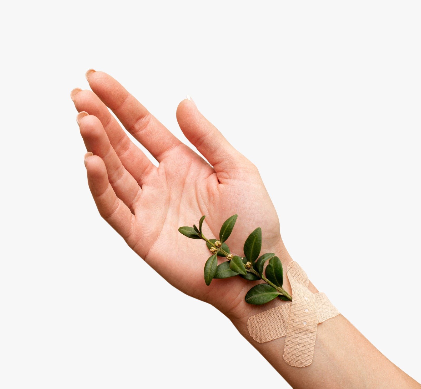 Ayurveda